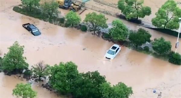 江西宜春县暴雨成灾:许多居民上街抓鱼，一村庄千亩稻田被淹没